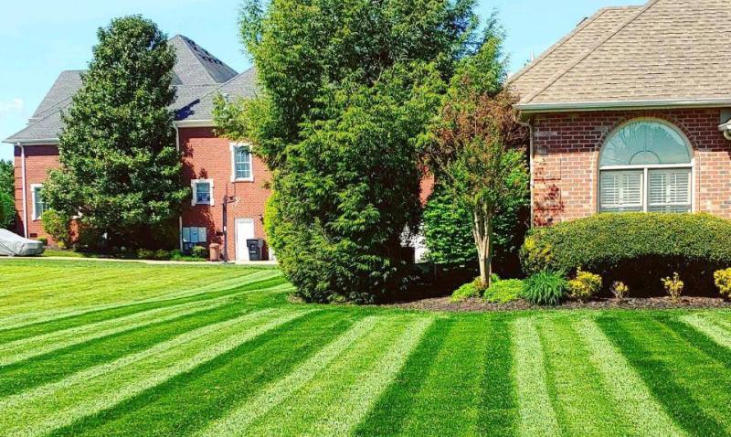 Nashville Tennessee metro lawn care, landscape maintenance, plant health care, and more